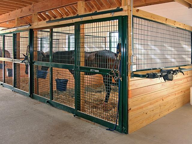 Содержание лошадей в конюшне в Боровске | ЗооТом портал о животных